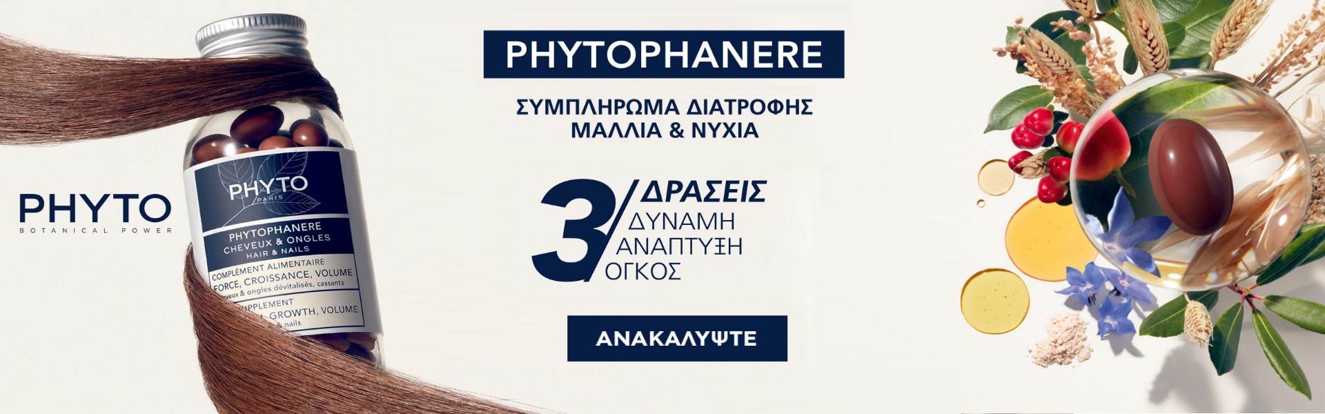 PHYTO Phytophanere